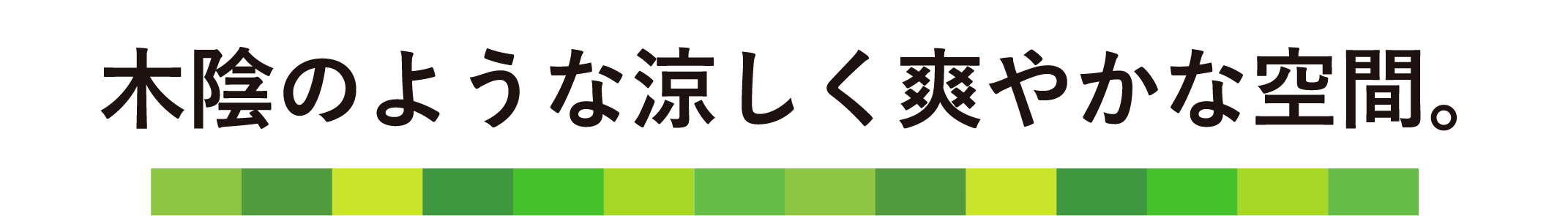 木陰のような涼しく爽やかな空間。