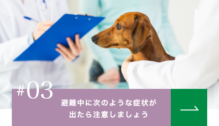 03避難中に次のような症状が出たら注意しましょう