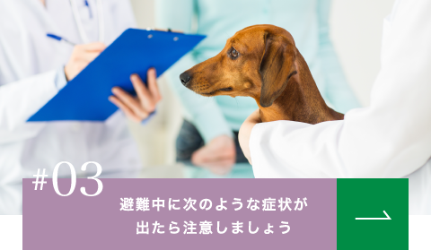 03避難中に次のような症状が出たら注意しましょう