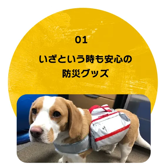 いざという時も安心の 防災グッズ