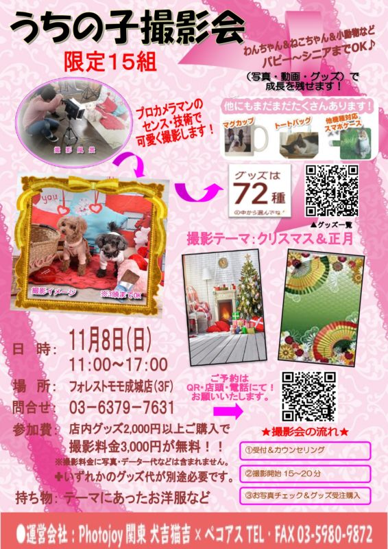 うちの子撮影会 11月8日 日 東京都世田谷区フォレストモモではペットの事を考えたお家づくり提案 うちの子撮影会 11月8日 日 東京都世田谷区フォレストモモではペットの事を考えたお家づくり提案